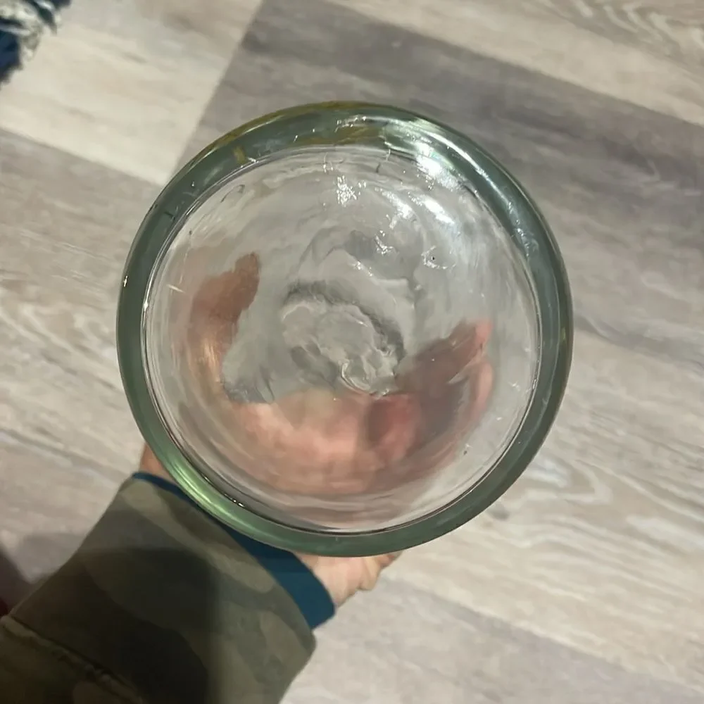 Pottery Barn Rudolph Glass Carafe